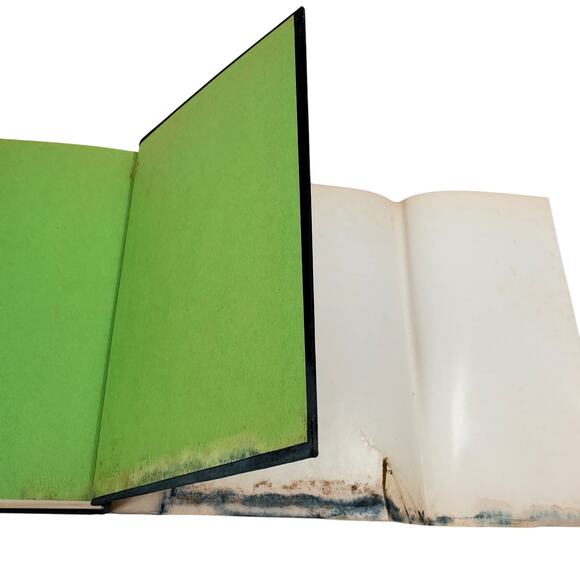 Vtg Freud And His Early Circle by Vincent Brome William Morrow 1968 HC - Picture 14 of 16